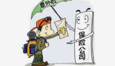 图片6